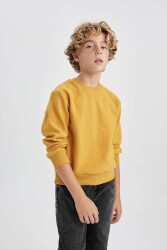 Defacto B4400A8-Fw Erkek Çocuk Sweatshirt Sarı 