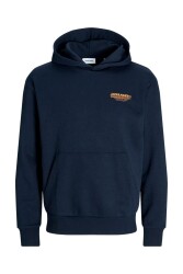 Jack & Jones 12256833 Jjolıve Sweat Hood Erkek Hoodie Sweatshirt Lacivert 