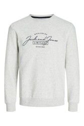 Jack & Jones 12256837 Jjferrıs Sweat Crew Neck Erkek Sweatshirt Gri 