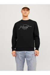 Jack & Jones 12256837 Jjferrıs Sweat Crew Neck Erkek Sweatshirt Siyah 