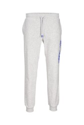 Jack & Jones 12258477 Jpstgordon Jjalvıs Sweat Pants Naf Erkek Eşofman Altı Gri 