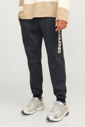 Jack & Jones 12258477 Jpstgordon Jjalvıs Sweat Pants Naf Erkek Eşofman Altı Siyah 