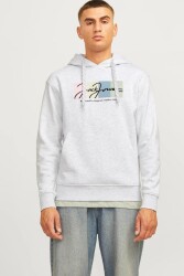 Jack & Jones 12262421 Jorportland Block Sweat Hood Ln Erkek Hoodie Sweatshirt Gri 