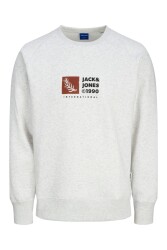 Jack & Jones 12262958 Jorportland Box Sweat Crew Neck Erkek Sweatshirt Gri 