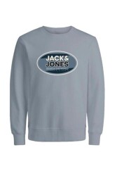 Jack & Jones 12267544 Jcoray Color Sweat Crew Neck Fst Erkek Sweatshirt Gri 