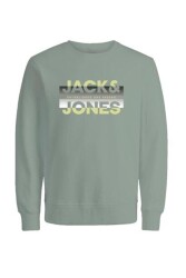 Jack & Jones 12267544 Jcoray Color Sweat Crew Neck Fst Erkek Sweatshirt Yeşil 